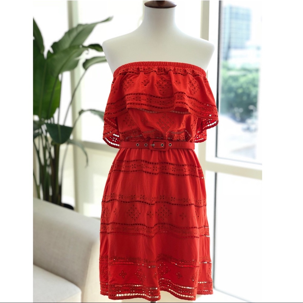 Bebe: Orange Embroidered Jersey Tube Dress